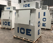 Congélateur mis en sac extérieur d'entreposage dans la glace de système de refroidissement de glace de porte solide