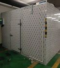 Pièce d'installation frigorifique de dégivrage électrique pour des fruits et légumes avec le volume de 800 tonnes