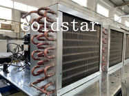 Un refroidisseur/réfrigérateur plus frais d'étalage de matériel de réfrigération de boisson de fraîcheur verticale de Sprite