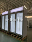 Congélateur vertical de vitrine de grande capacité avec la double porte en verre