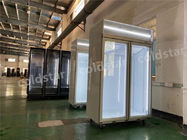 Étalage réfrigéré commercial de réfrigérateur d'affichage de porte à deux battants de vitrine