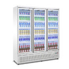 Commerciaux frigorifiés présentent le réfrigérateur droit de porte en verre pour l'affichage de boissons d'énergie