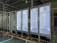 Congélateur vertical de vitrine de grande capacité avec la double porte en verre