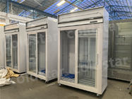 Réfrigérateur froid d'affichage de boissons de matériel de réfrigération simple de la température de grande capacité