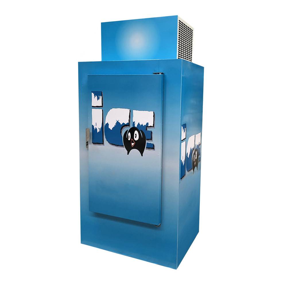 Congélateur solide commercial de glace de porte de marchandiseur dans la glace de réfrigérateur extérieur d'entreposage