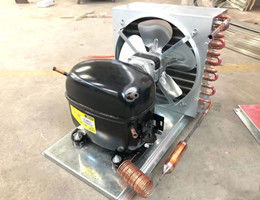 Fan refroidissant le Cu 100 d'intérieur dans la glace de poubelle commerciale d'entreposage. Pi type 1 en verre de portes de double