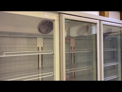 Glacière/congélateur en verre