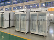 congélateur de réfrigérateur vertical d'affichage de congélateur en verre commercial de la porte 1000L