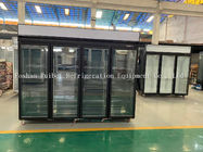 L'automobile commerciale de congélateur de réfrigérateur R290 dégivrent l'étalage droit de congélateur de porte en verre