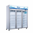 Montrez le congélateur de réfrigérateur froid d'affichage d'étalage de portes en verre de double du congélateur 500l de pepsi-cola