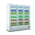 Refroidisseur adapté aux besoins du client promotionnel de conservation frais d'affichage de réfrigérateur de porte de réfrigérateur en verre commercial de boissons