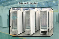 Porte en verre droite de congélateur de réfrigérateur d'affichage d'étalage de degrés du message publicitaire -22